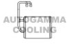 AUTOGAMMA 105063 Heat Exchanger, interior heating